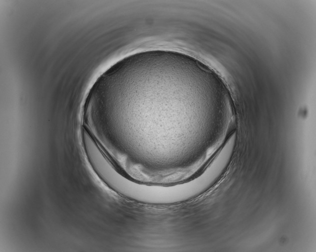 X0000098011528200804181122