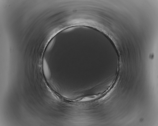 X0000098011529200804181122