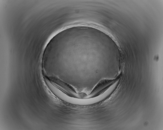 X0000098011530200804181122