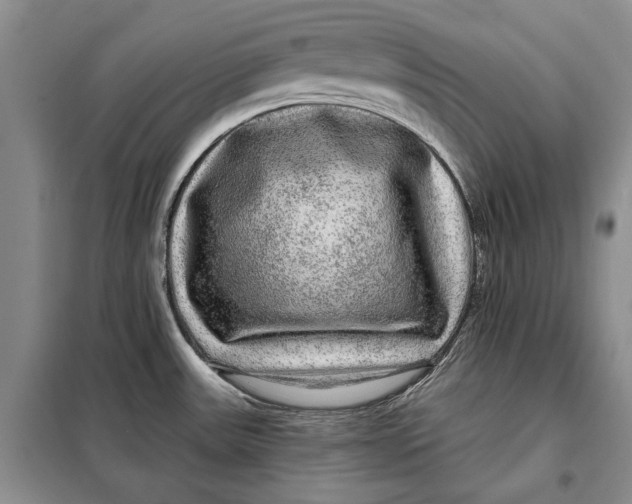 X0000098011531200804181122