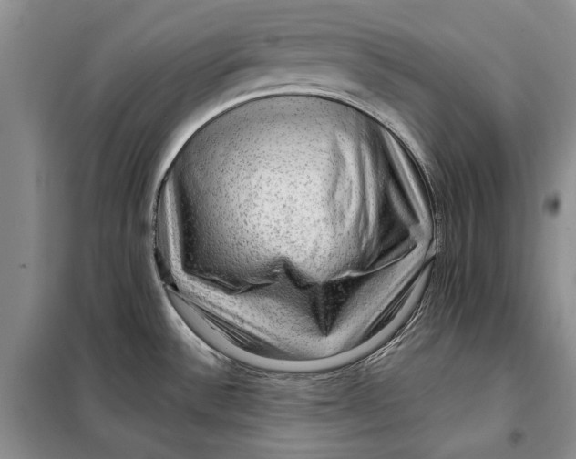 X0000098011532200804181122