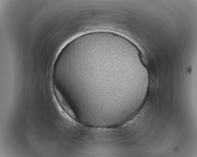 X0000098011534200804181122