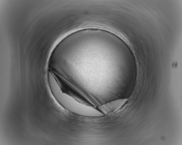 X0000098011536200804181122