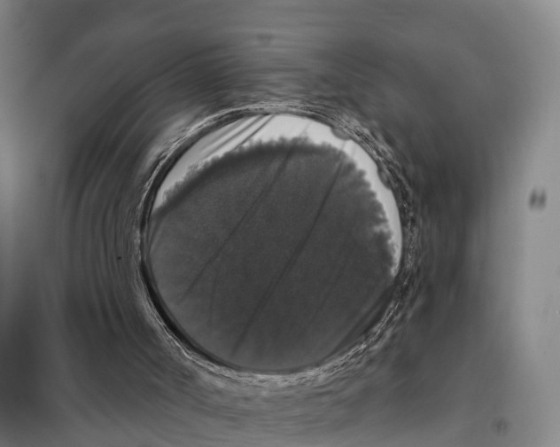 X0000098010002200804251125
