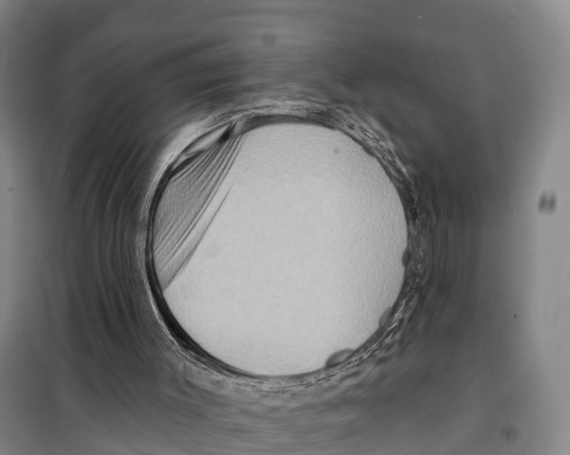 X0000098010003200804251125
