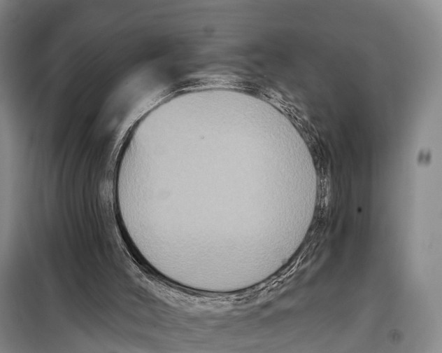 X0000098010004200804251125
