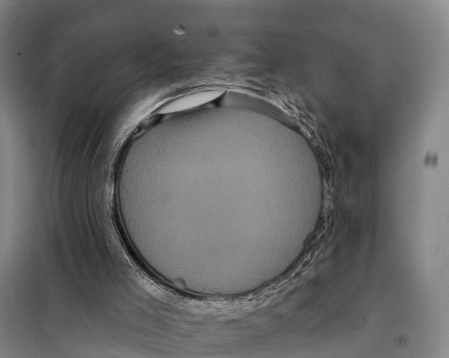 X0000098010005200804251125