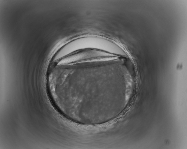 X0000098010007200804251125