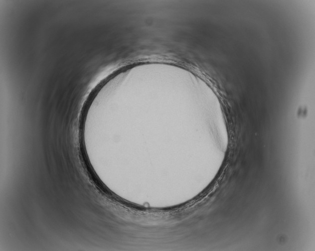 X0000098010008200804251125
