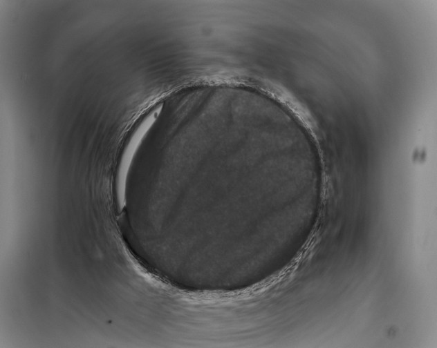 X0000098010009200804251125