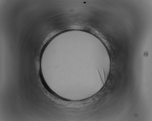 X0000098010011200804251125