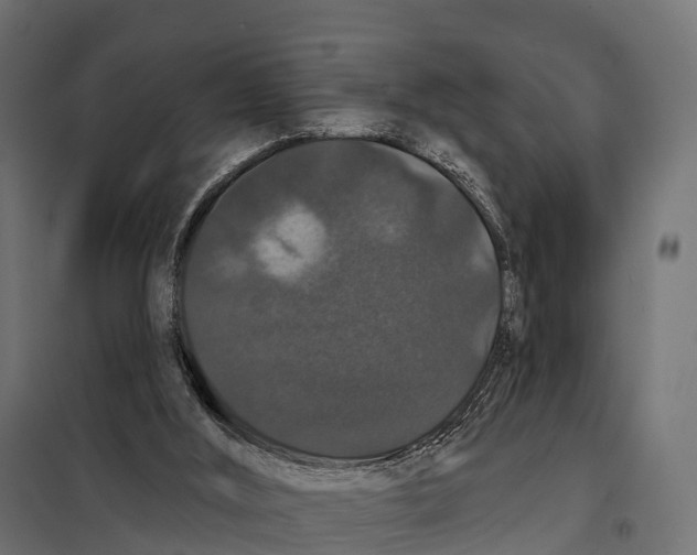 X0000098010012200804251125