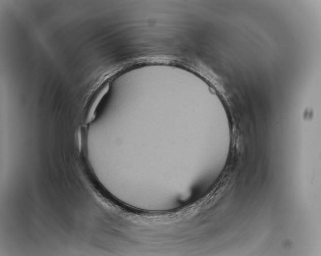 X0000098010013200804251125