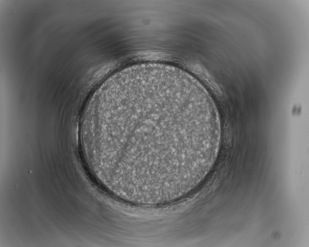 X0000098010014200804251125