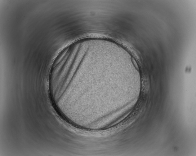 X0000098010015200804251125