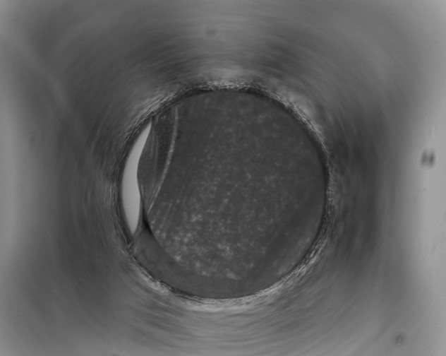 X0000098010017200804251125