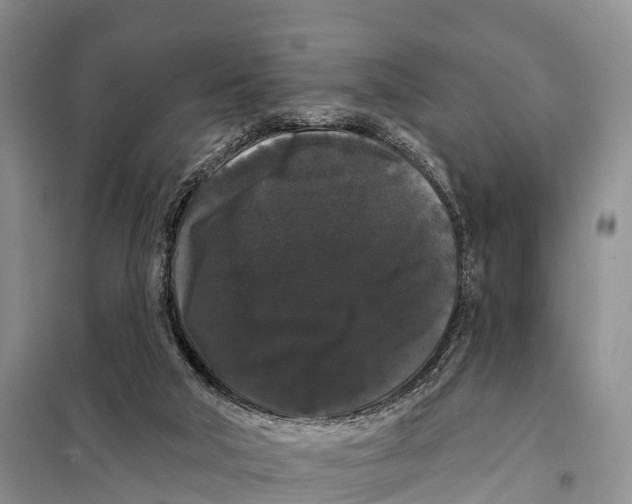X0000098010018200804251125