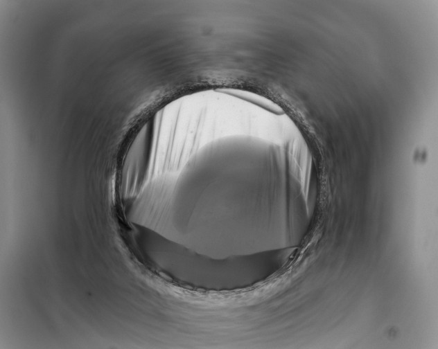 X0000098010019200804251125