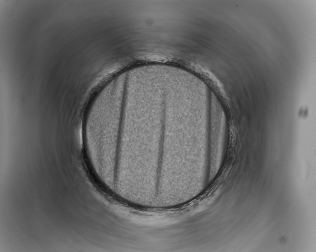 X0000098010020200804251125
