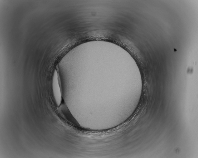 X0000098010021200804251125