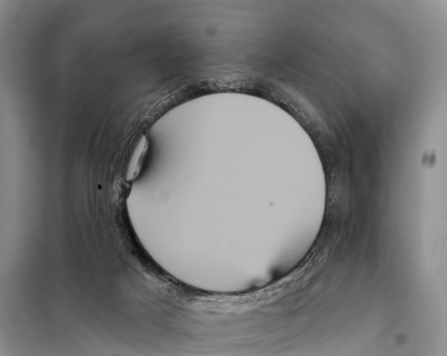 X0000098010025200804251124