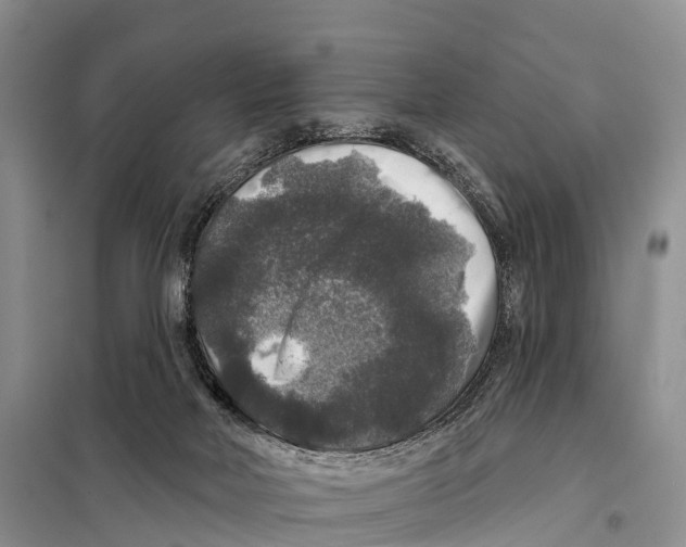 X0000098010026200804251124