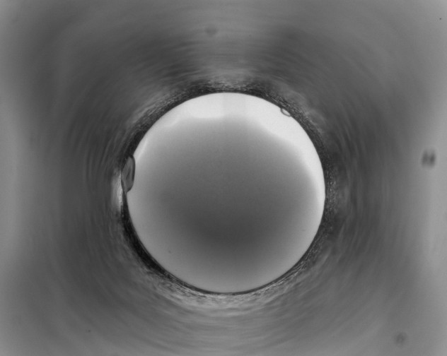 X0000098010027200804251124