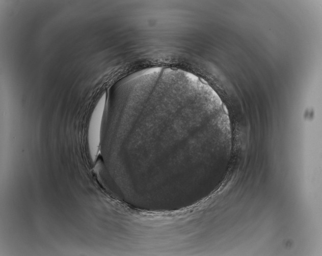 X0000098010029200804251124