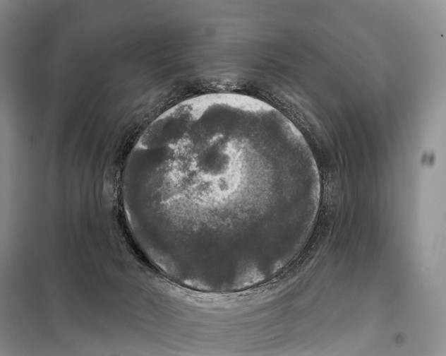 X0000098010030200804251124