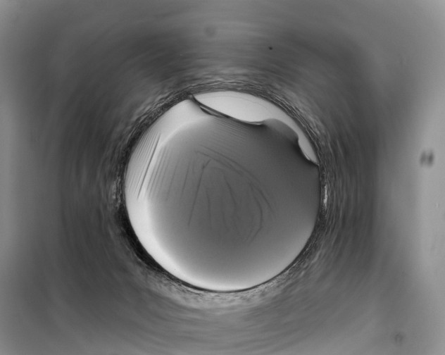 X0000098010031200804251124