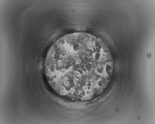 X0000098010032200804251124