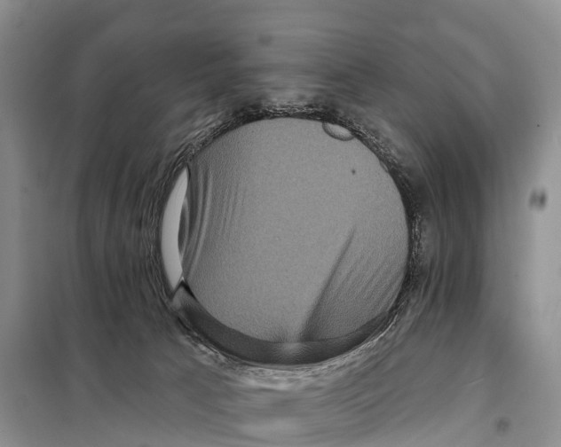 X0000098010033200804251124
