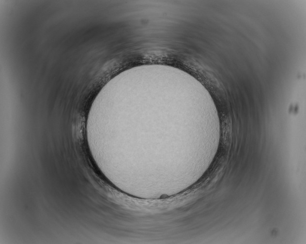 X0000098010038200804251124