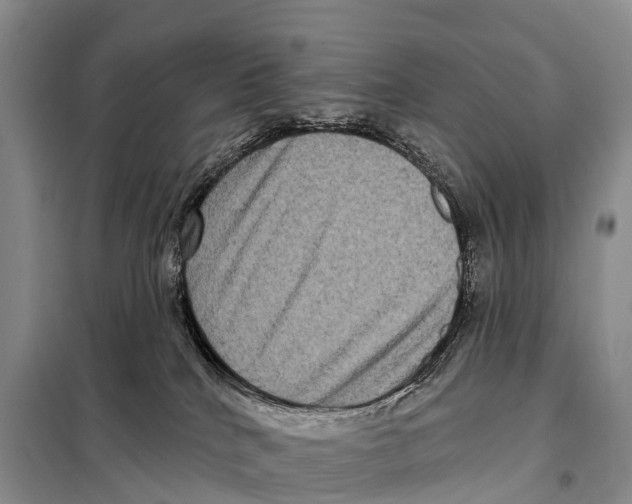 X0000098010040200804251124