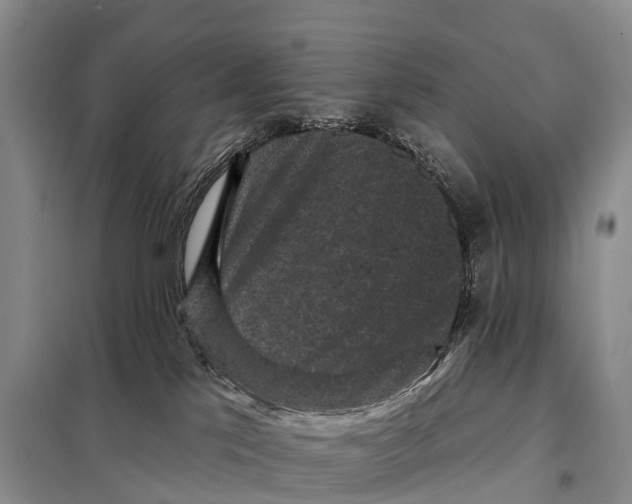 X0000098010041200804251124