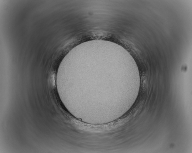 X0000098010042200804251124