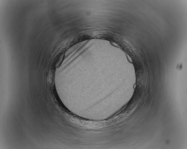 X0000098010044200804251124