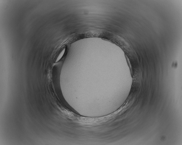 X0000098010045200804251124
