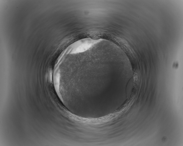 X0000098010046200804251124