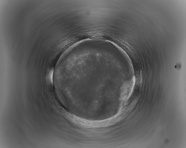 X0000098010047200804251124