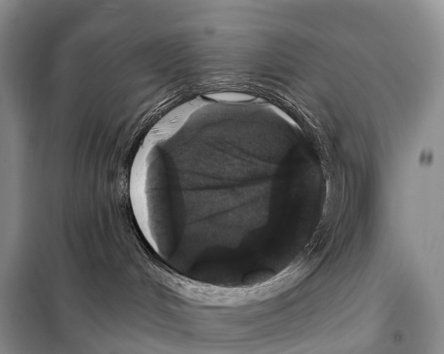X0000098010048200804251124