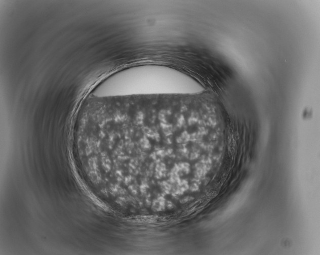 X0000098010049200804251123