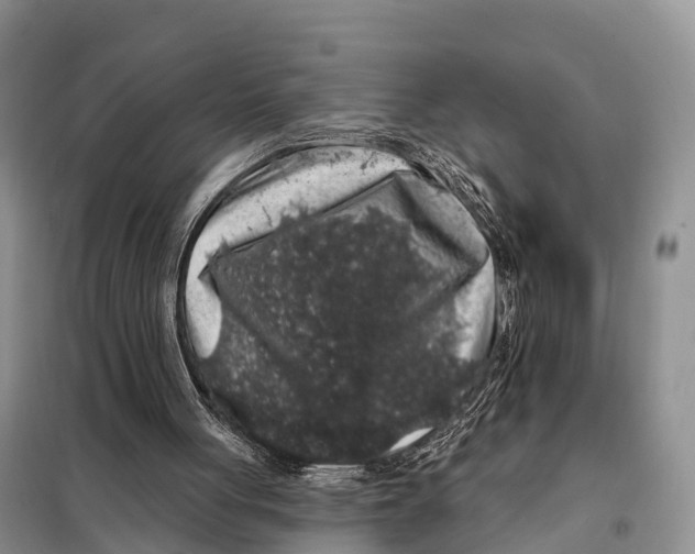 X0000098010051200804251123
