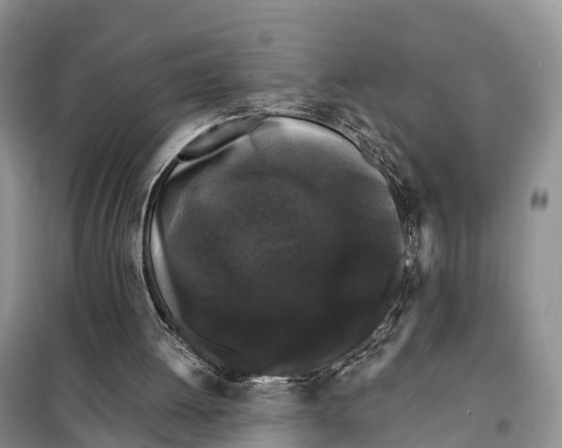 X0000098010052200804251123