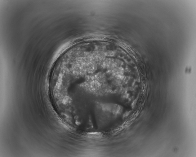 X0000098010053200804251123