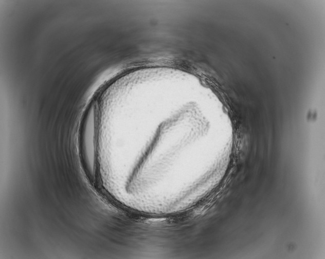 X0000098010054200804251123