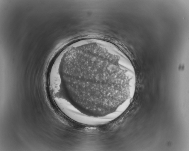 X0000098010055200804251123
