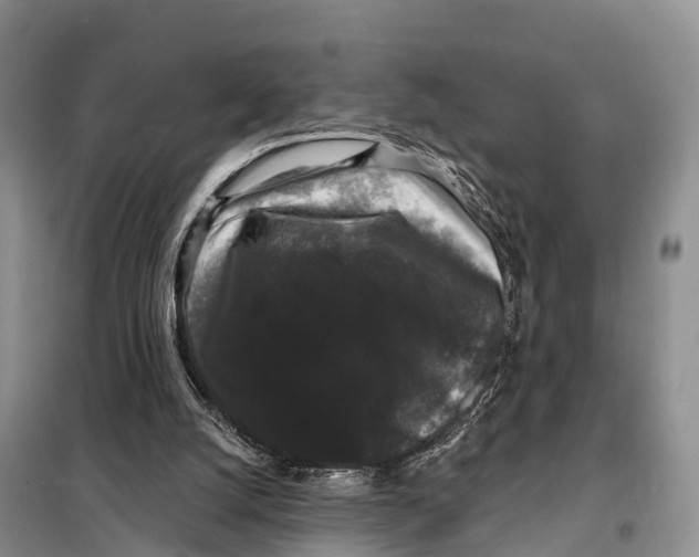 X0000098010056200804251123