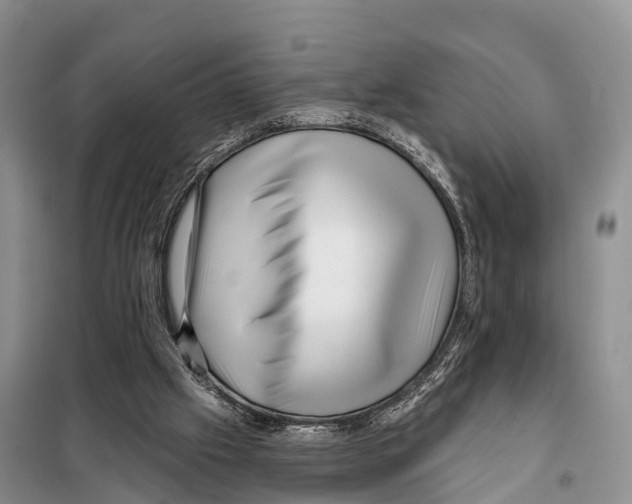X0000098010057200804251124