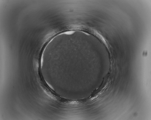 X0000098010059200804251124